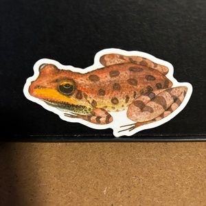 FROG/ TOAD STICKER